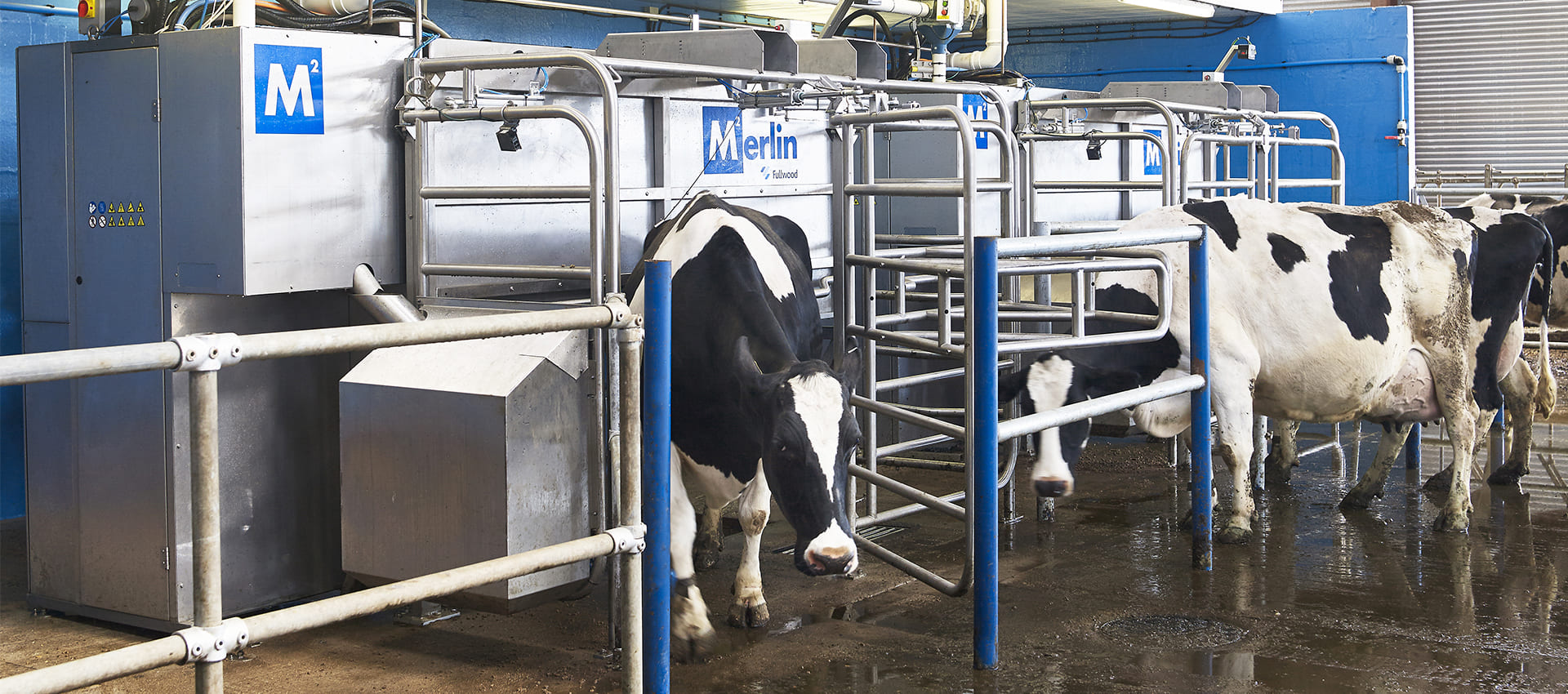 Оборудование для молочных ферм