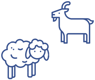 Специальные доильные установки для мелких жвачных животных: коз и овец